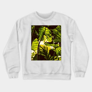 Nature tree Crewneck Sweatshirt